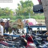 Avatar Chị Minh Hạnh